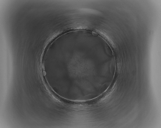 X0000111200721200907081241