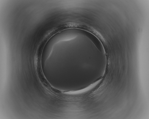 X0000111200722200907081241