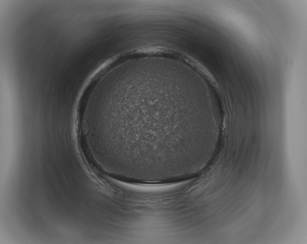 X0000111200724200907081241