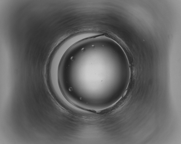 X0000111200725200907081241