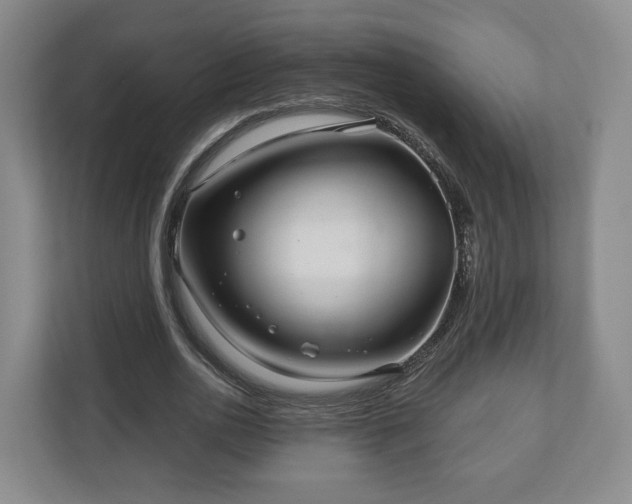 X0000111200726200907081241