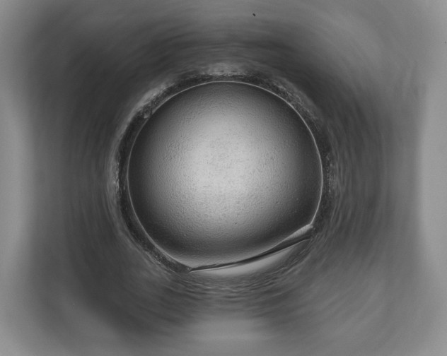 X0000111200727200907081241