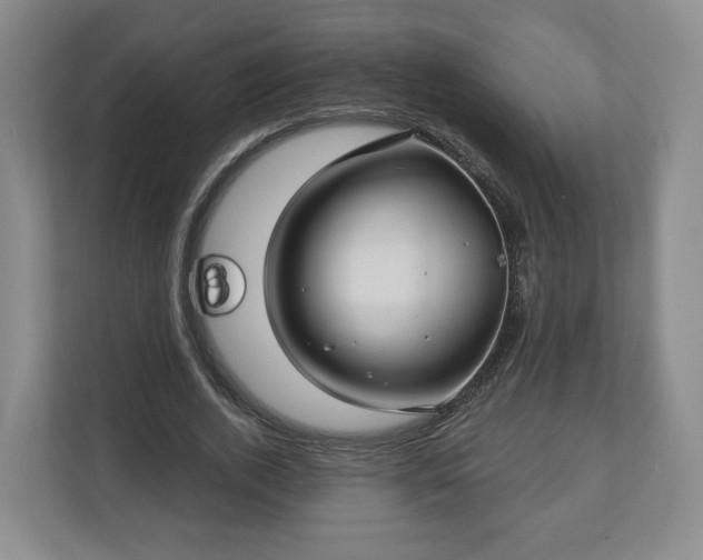 X0000111200728200907081241