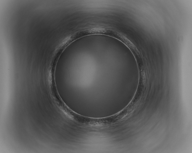 X0000111200729200907081241