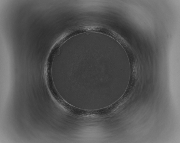 X0000111200730200907081241