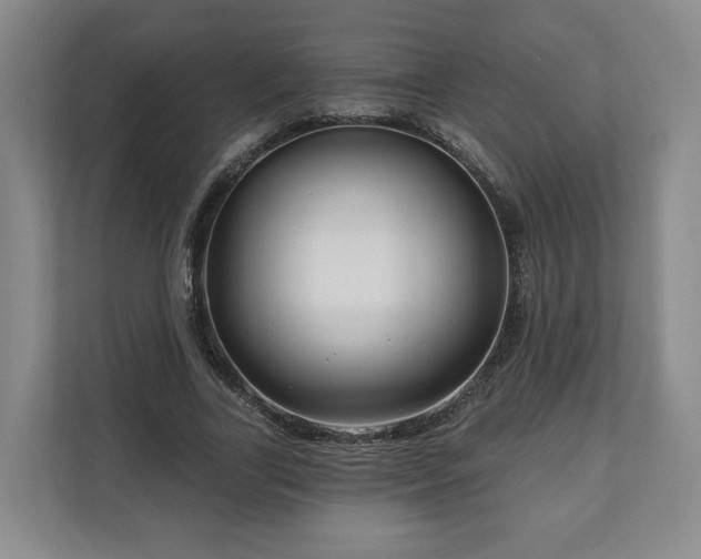 X0000111200731200907081241