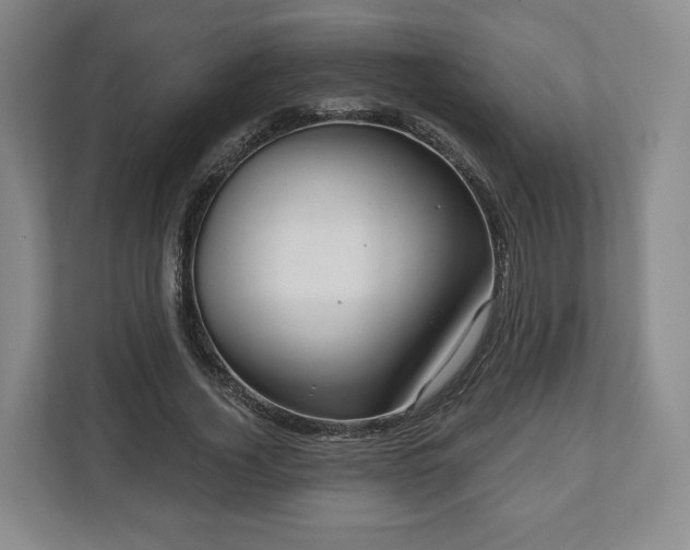 X0000111200732200907081241