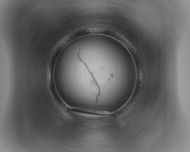 X0000111200733200907081241