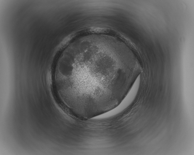 X0000111200734200907081241