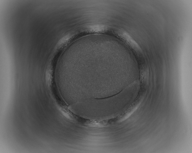 X0000111200736200907081241