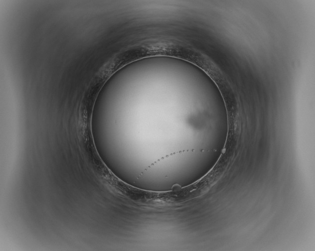 X0000111200737200907081241