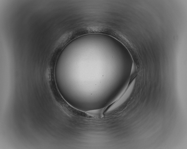 X0000111200738200907081241