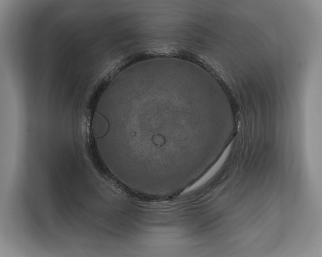 X0000111200739200907081241