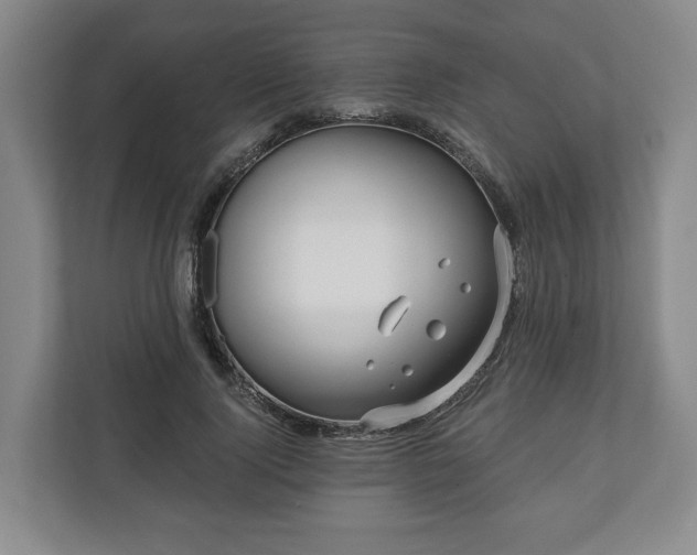 X0000111200740200907081241