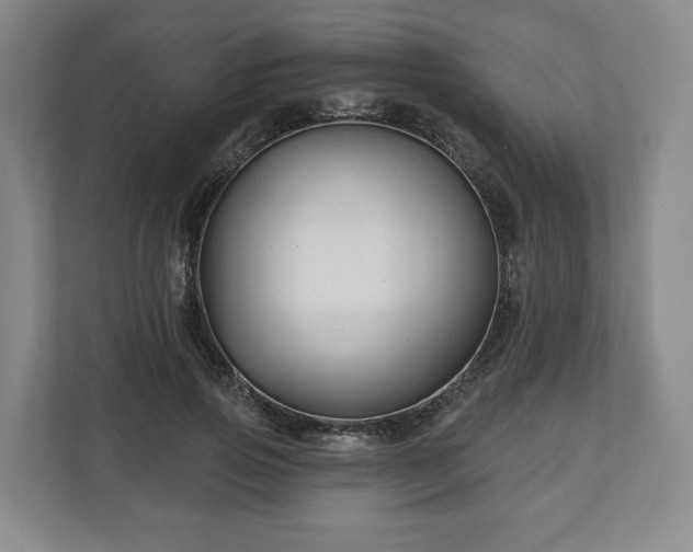 X0000111200741200907081241