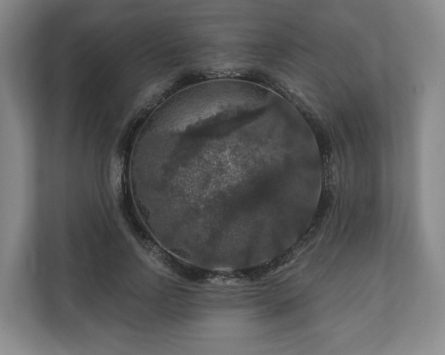 X0000111200742200907081241