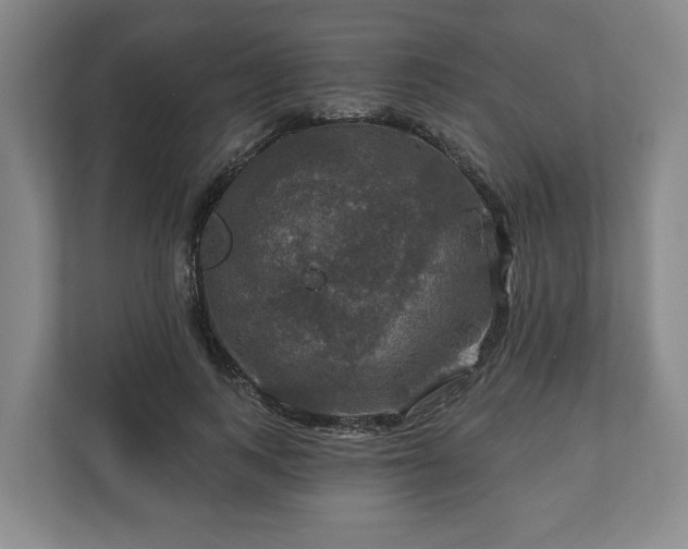 X0000111200743200907081241