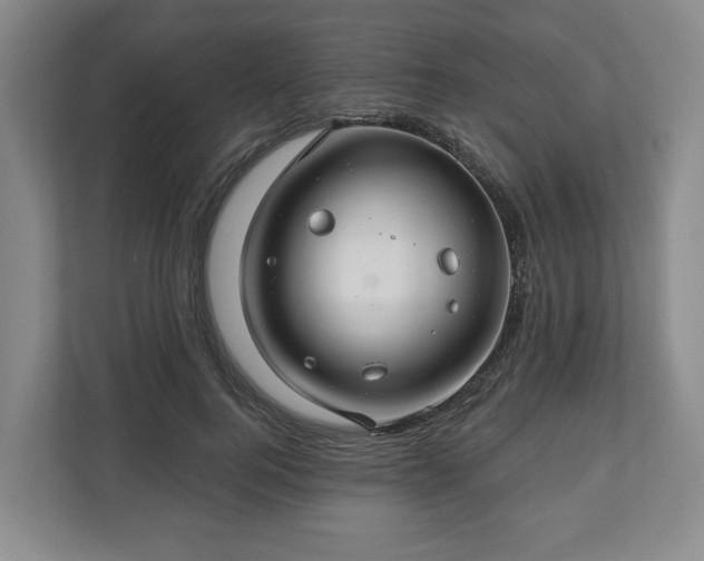 X0000111200744200907081241