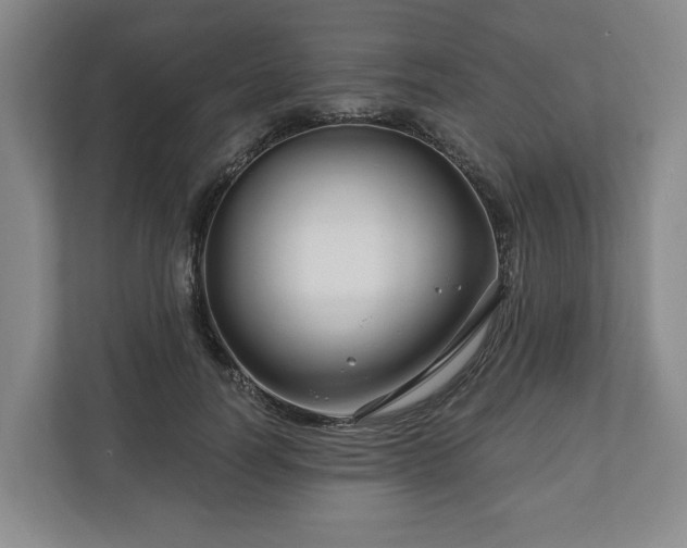 X0000111200746200907081241