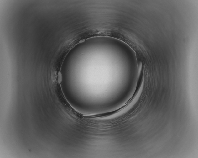 X0000111200748200907081241