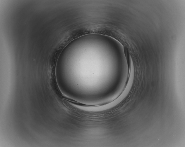 X0000111200750200907081241