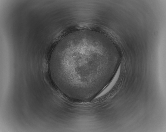 X0000111200751200907081241