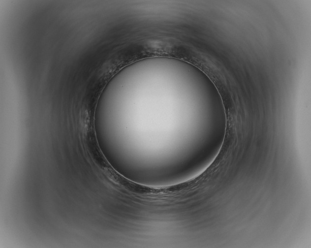 X0000111200752200907081241