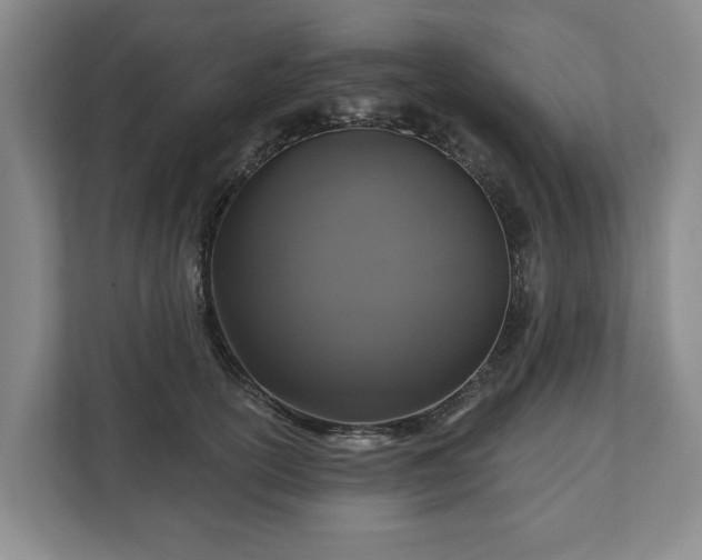 X0000111200754200907081241