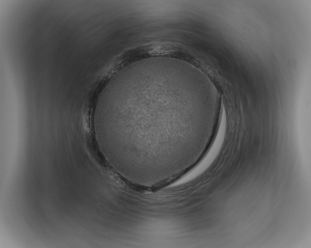 X0000111200755200907081241