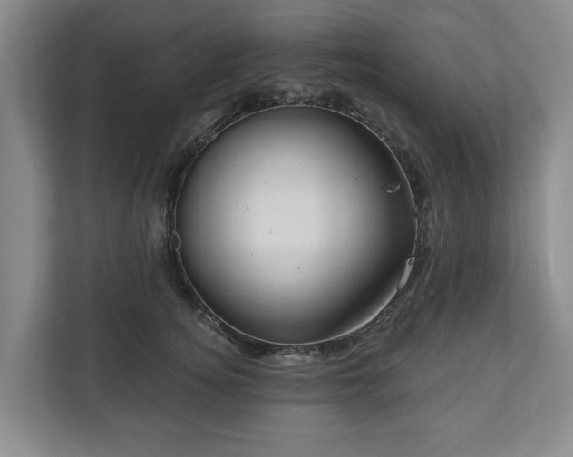 X0000111200756200907081241