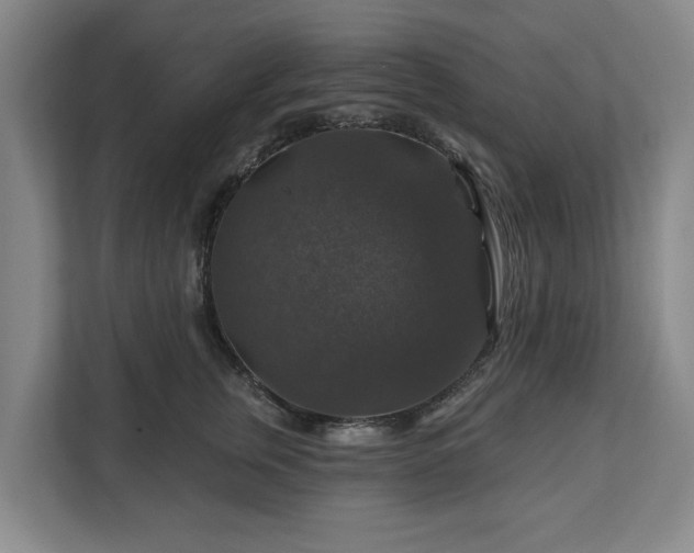 X0000111200759200907081241