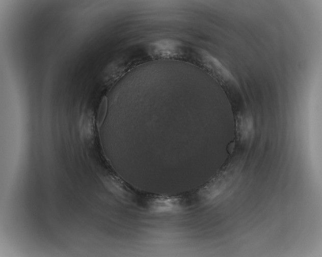 X0000111200760200907081241