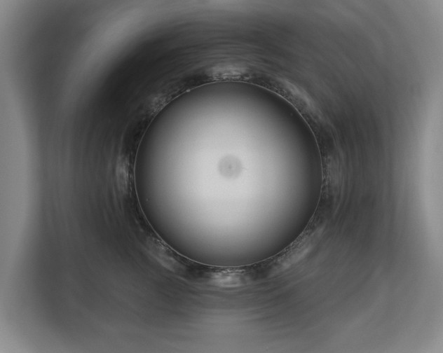 X0000111200761200907081241