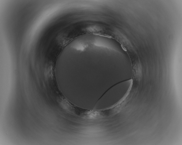 X0000111200762200907081241