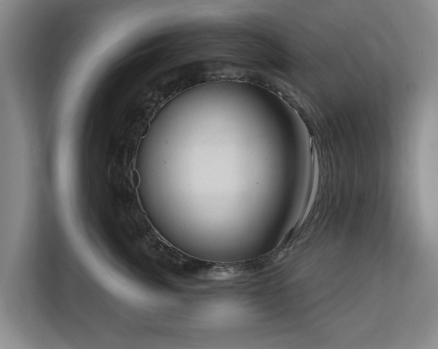 X0000111200764200907081241