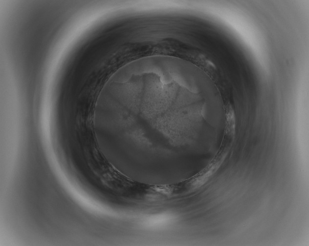 X0000111200765200907081241