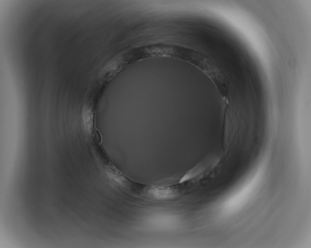 X0000111200767200907081242