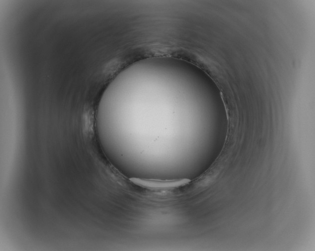 X0000111200768200907081242