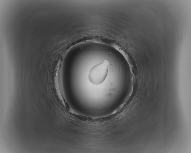 X0000111200769200907081241