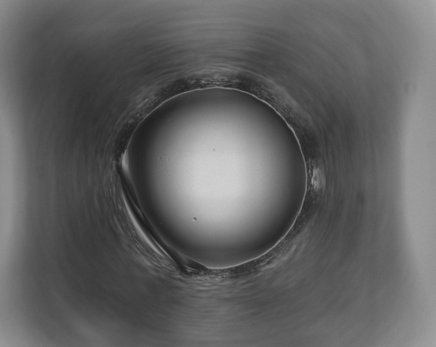 X0000111200771200907081241