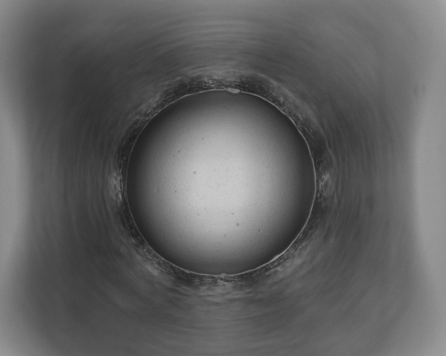 X0000111200772200907081241