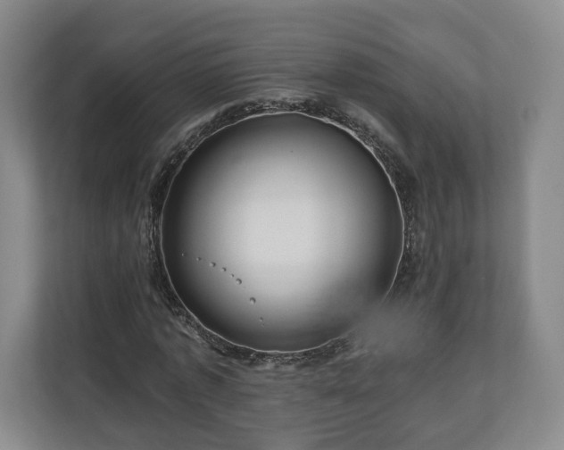 X0000111200773200907081241