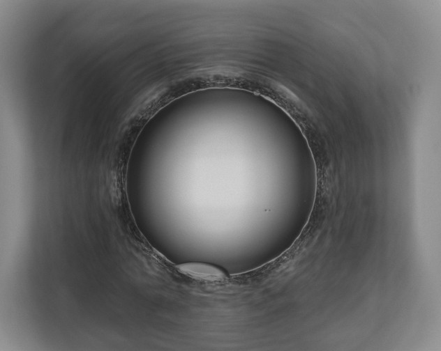 X0000111200774200907081241