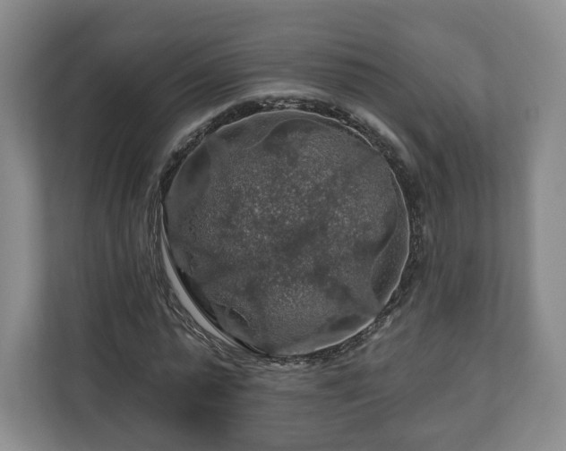 X0000111200775200907081241