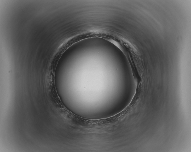 X0000111200776200907081241