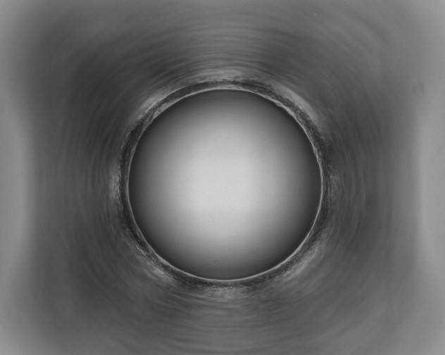 X0000111200778200907081241