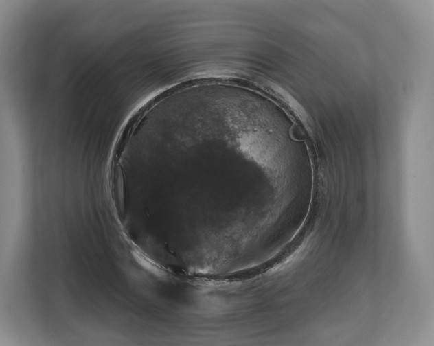 X0000111200779200907081241