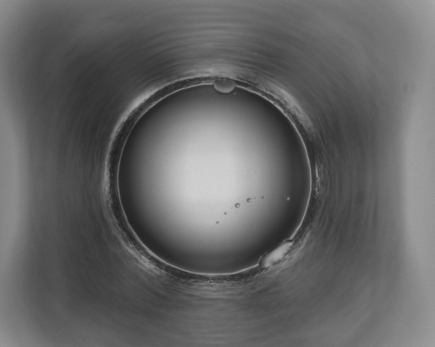 X0000111200780200907081241