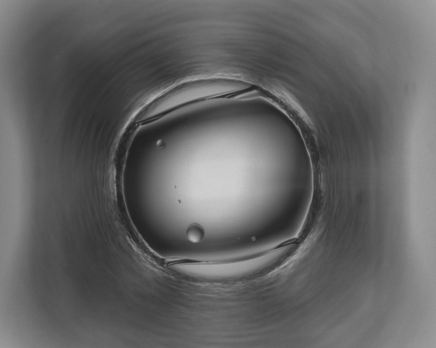 X0000111200781200907081241