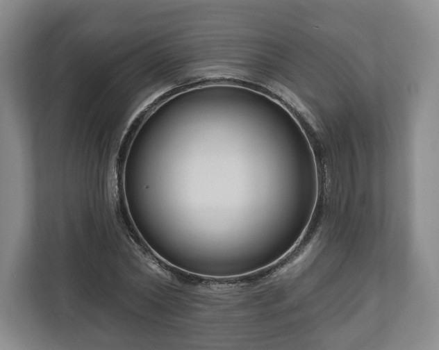 X0000111200782200907081241